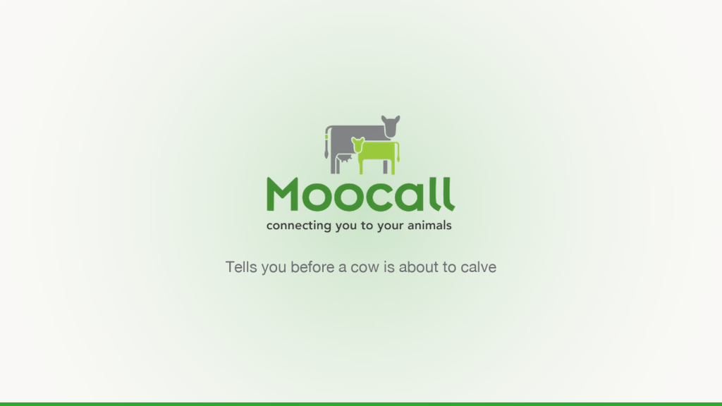 Moocall Calving Sensor