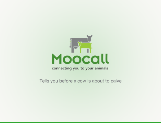Moocall Calving Sensor