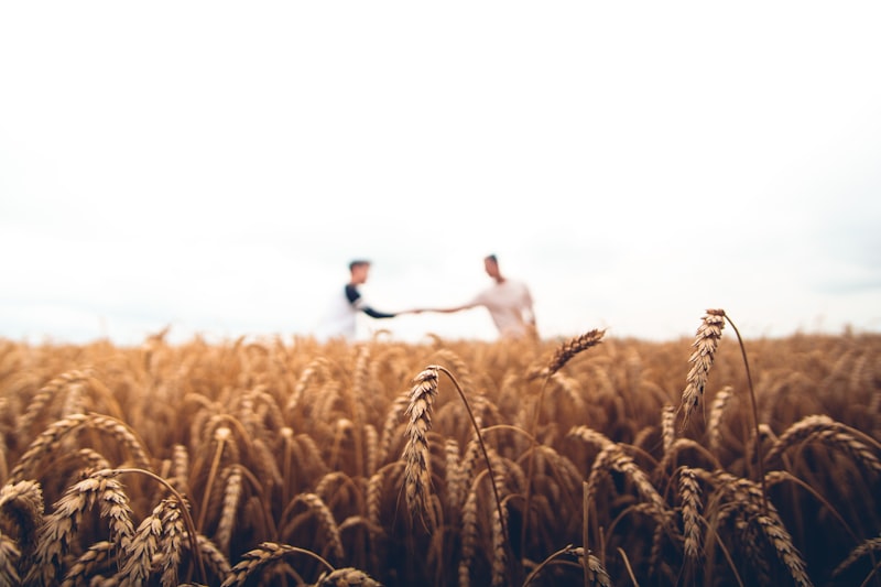 AI Crop Monitoring