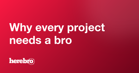 Why every project needs a bro - HereBro