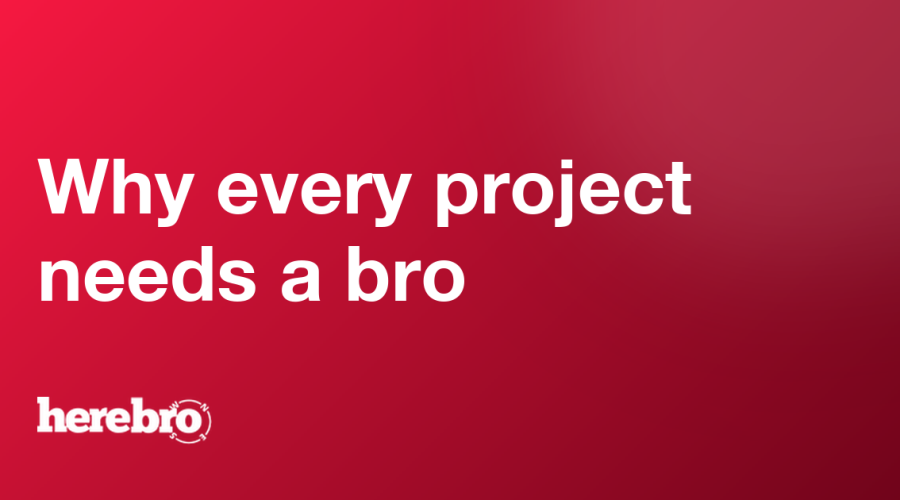 Why every project needs a bro